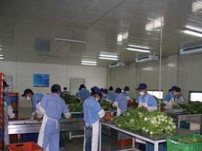 广州同城综合服务生态 从食材配送到教育咨询的一站式解决方案